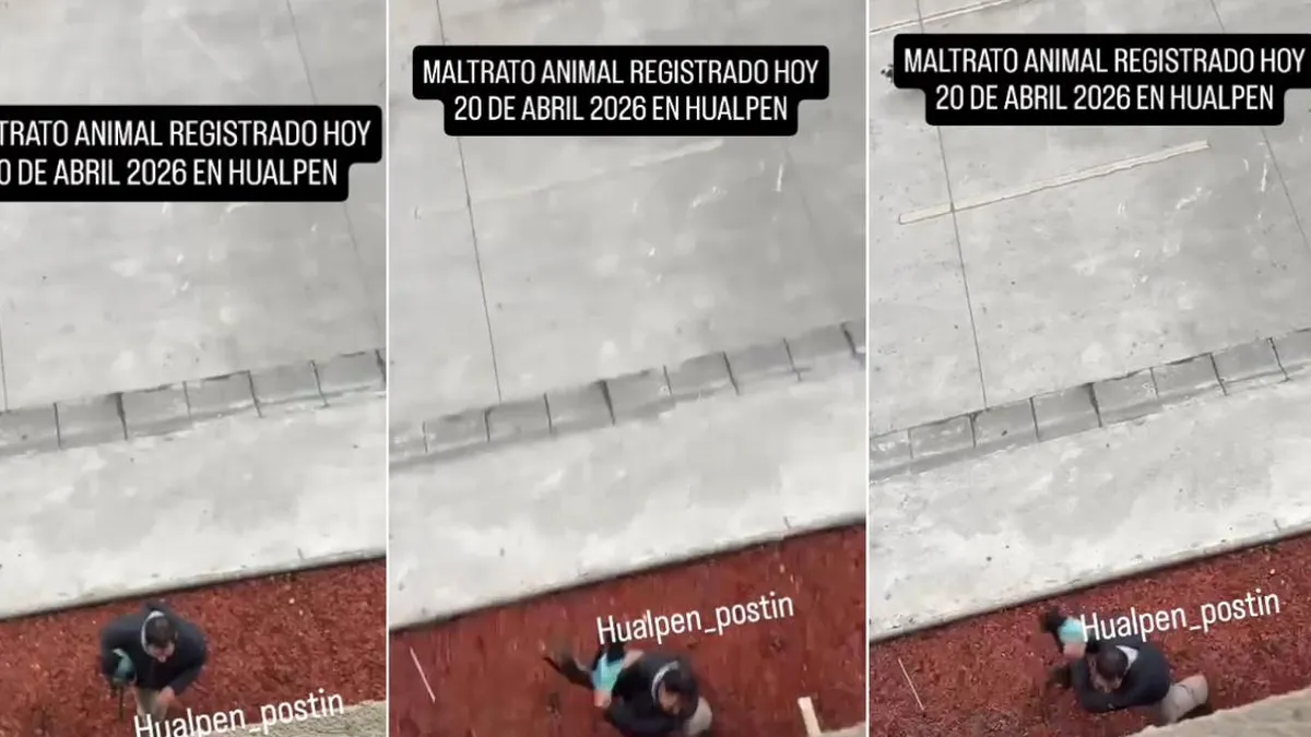 Hualpén denuncia maltrato animal tras video viral de un hombre lanzando un perro.