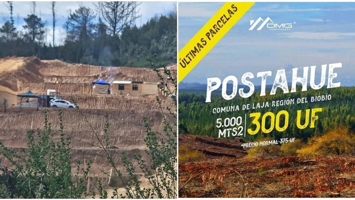 Nueve demandantes exigen 90 millones a inmobiliaria por incumplimiento en devolución.