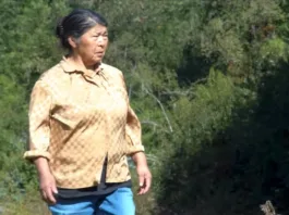 Escuchas revelan la implicación de Troncoso en la obstrucción de justicia.