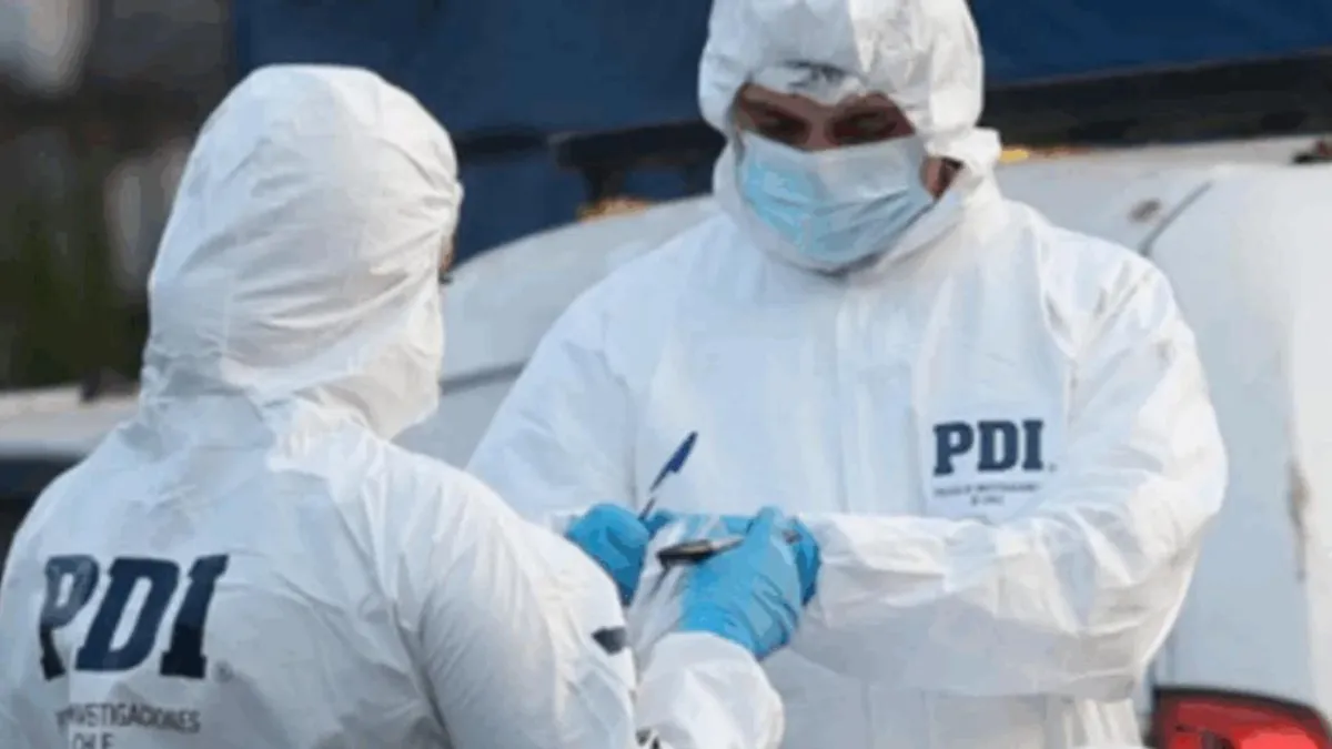 Tragedia en Chillán: niña de 3 años muere tras ataque de perros; fiscal investiga.