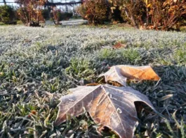 José Bolbarán advierte sobre heladas extremas tras días cálidos en Santiago.