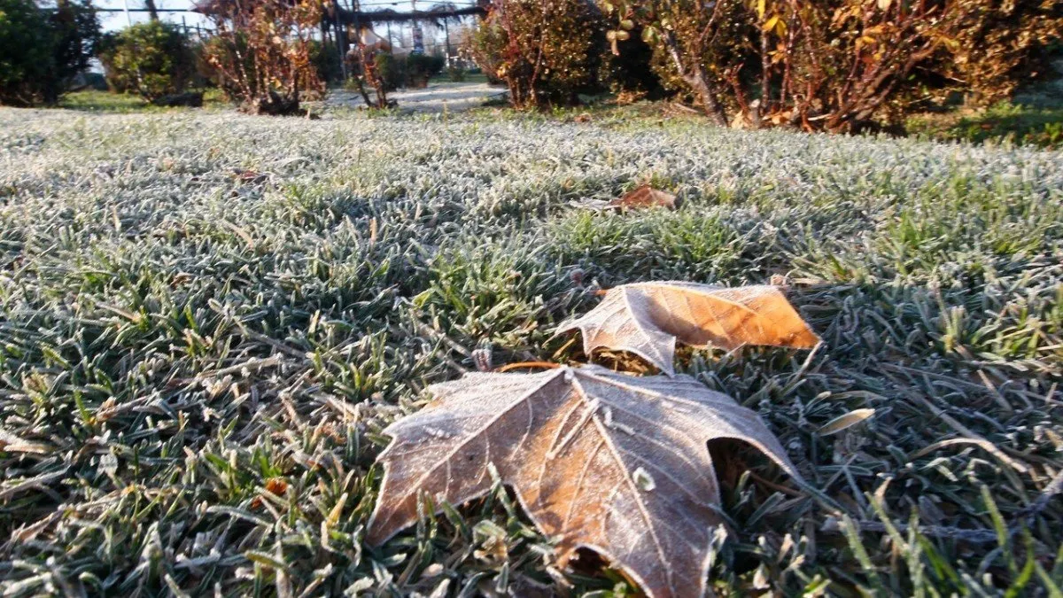 José Bolbarán advierte sobre heladas extremas tras días cálidos en Santiago.