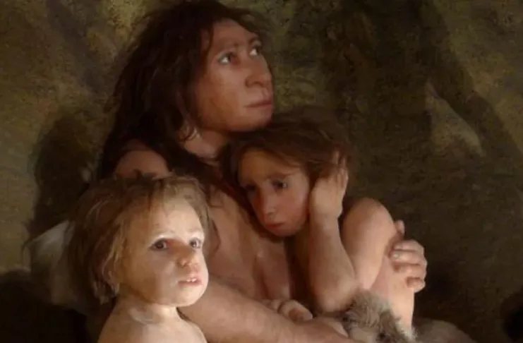Bebés neandertales: crecimiento rápido como adaptación a climas fríos.