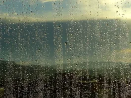 El Niño Godzilla: un evento climático que amenaza con intensas lluvias en Chile.