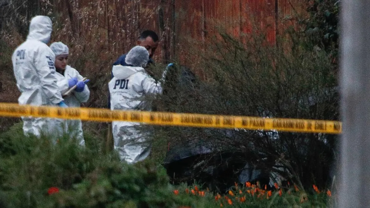 Un adulto mayor hallado muerto en Los Pequenes; PDI investiga agresión mortal.