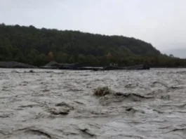 Senapred monitorea Alerta Roja en O'Higgins por desborde del río Mosco.