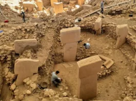 Descubrimiento en Stellichte: 170 yacimientos de la Edad del Bronce revelan historia.