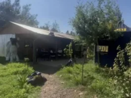 Hombre de 34 años imputado por parricidio en Talca tras hallazgo de su padre asesinado.