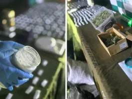 Operativo del OS7 en Talcahuano: 5 detenidos y $70 millones en drogas incautadas.