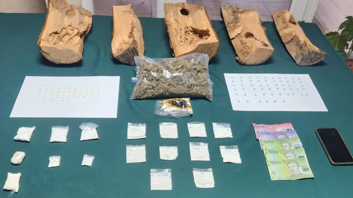 Gendarmería y Carabineros detienen a mujer que intentó ingresar drogas en leña.