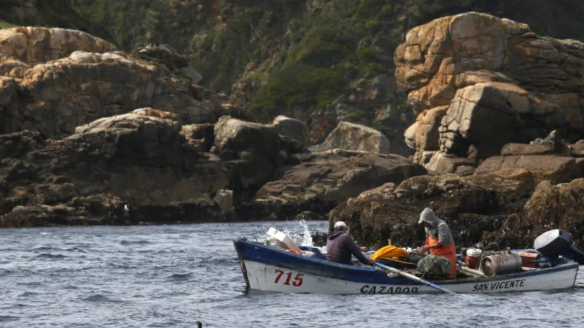 Sindicatos de pescadores en Valparaíso alertan sobre el alza de costos por combustible.