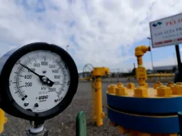 La ministra Rincón asegura normalización del gas en Ñuble y Biobío tras emergencia.